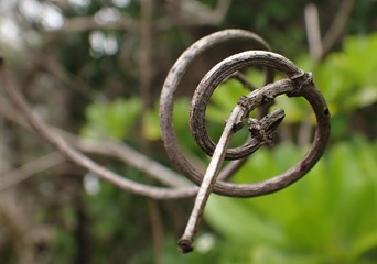 P5048764a.jpg